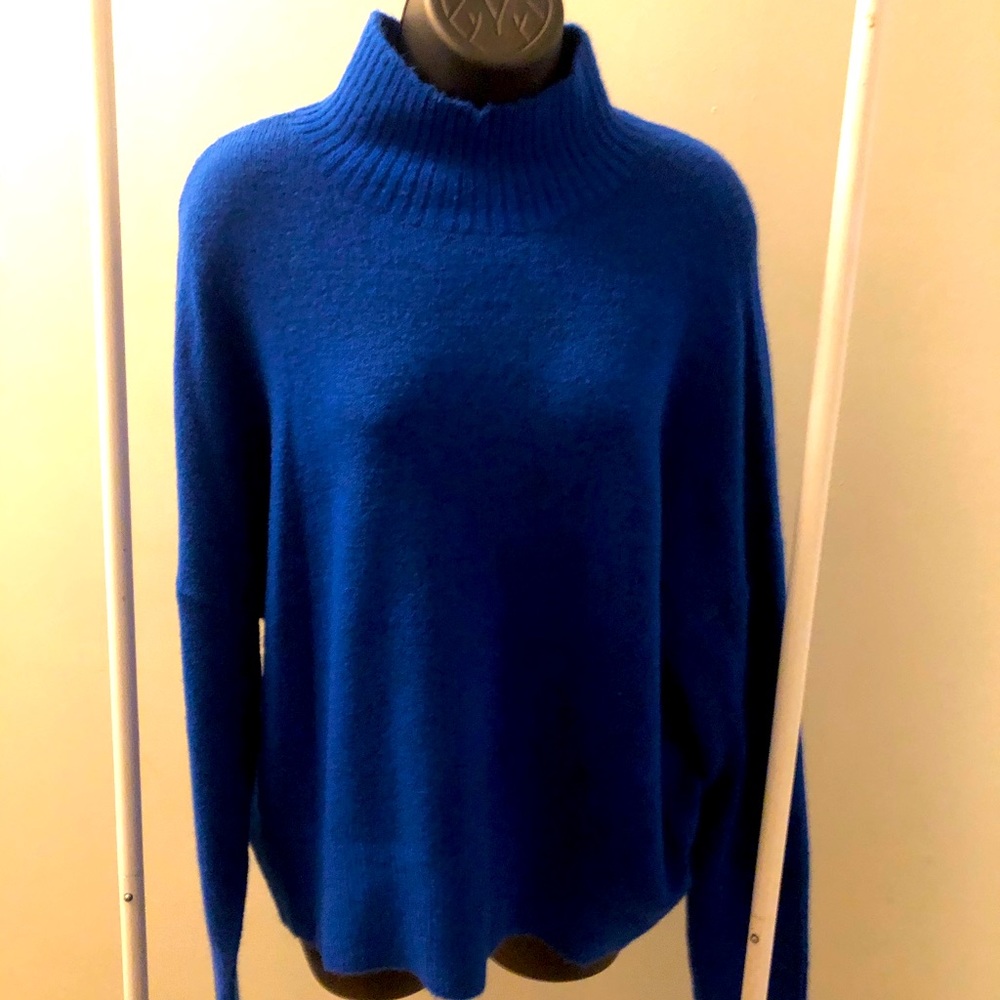 Express Blue Sweater